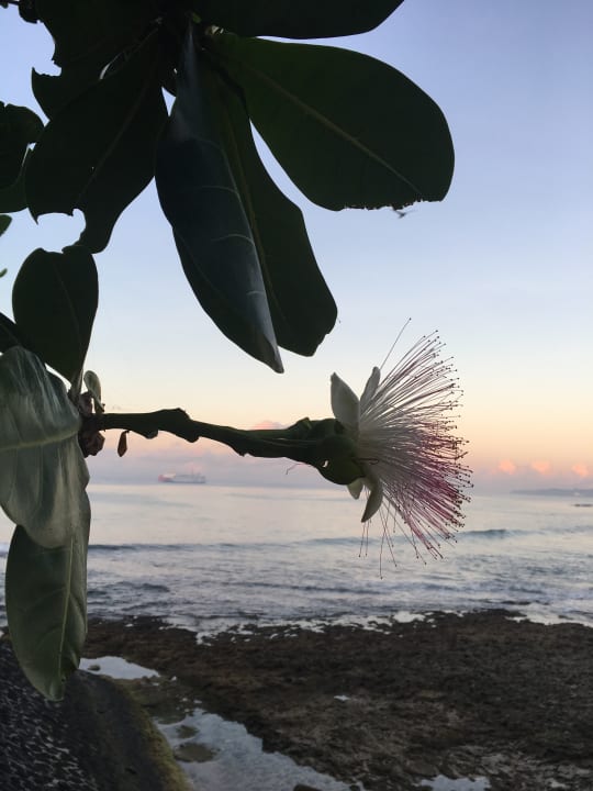 Nusa Indah Nusa Indah Bungalows & Villa