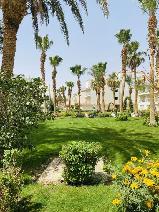 Gartenanlage Amarina Abu Soma Resort & Aquapark
