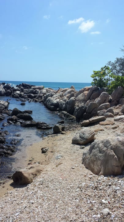 Strand Jungle Beach by Uga Escapes