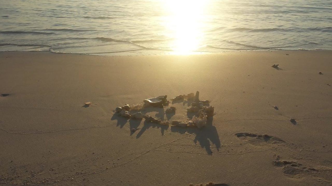 Дары моря Vilamendhoo Island Resort & Spa