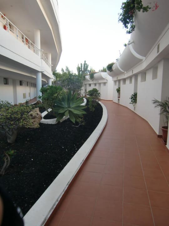 Hinter den Bungalows allsun App.-Hotel Barlovento