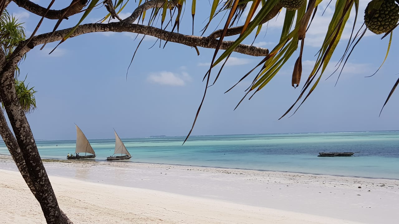 Strand Neptune Pwani Beach Resort & Spa