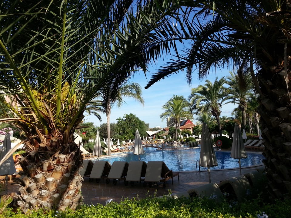 Pool VIVA Blue & Spa