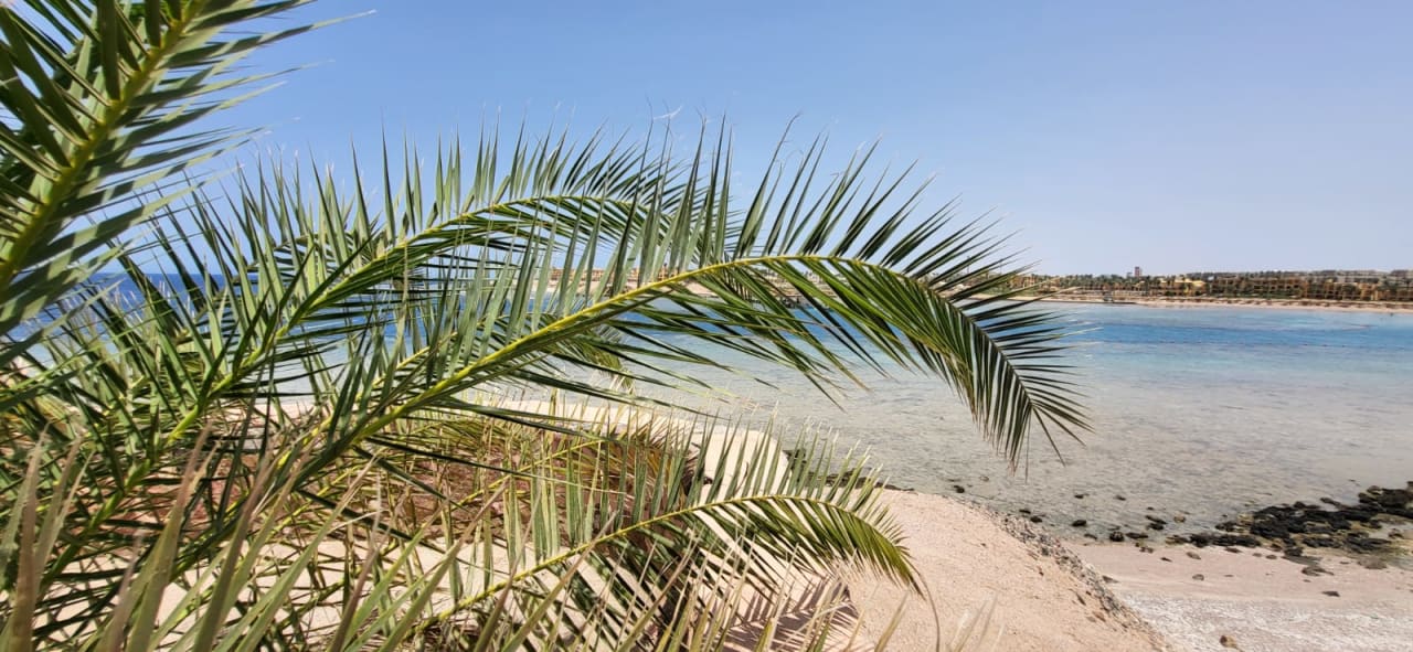 Strand Steigenberger Coraya Beach - Adults only