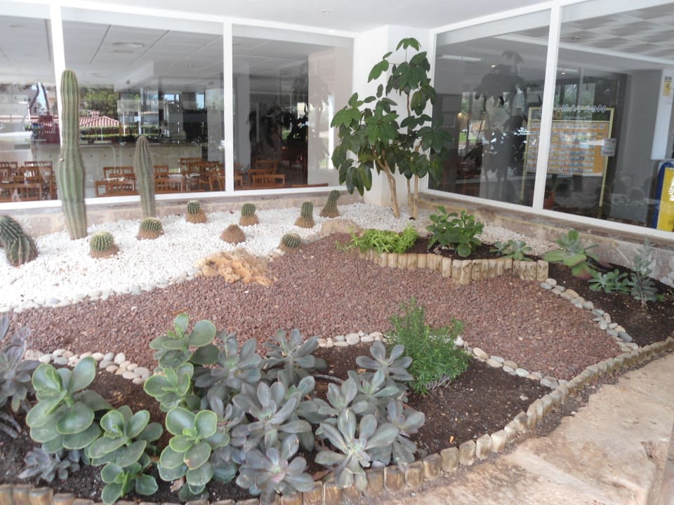 Garten neben Seiteneingang BQ Belvedere Hotel