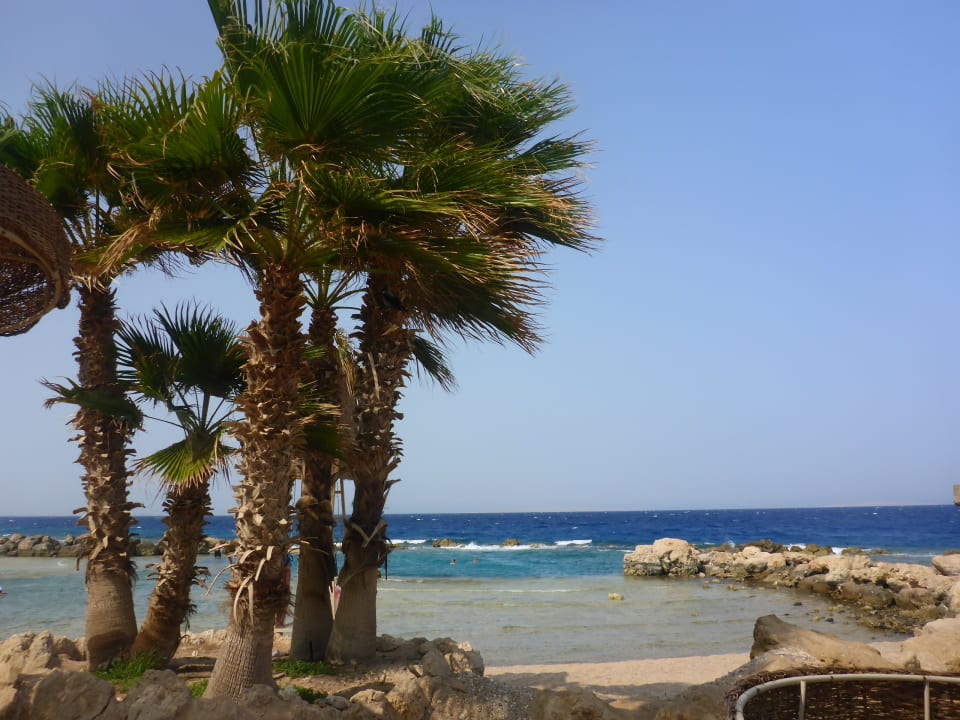 Strand Pickalbatros Citadel Resort