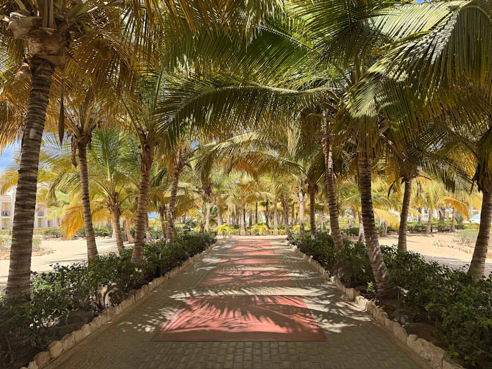 Gartenanlage Hotel Riu Karamboa
