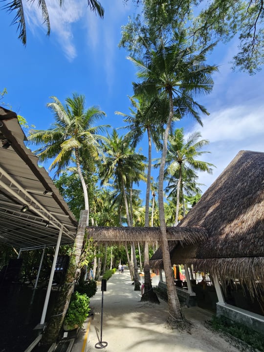 Gartenanlage Ellaidhoo Maldives by Cinnamon