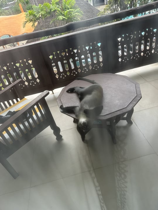 Zimmer Hotel Southern Palms Beach Resort