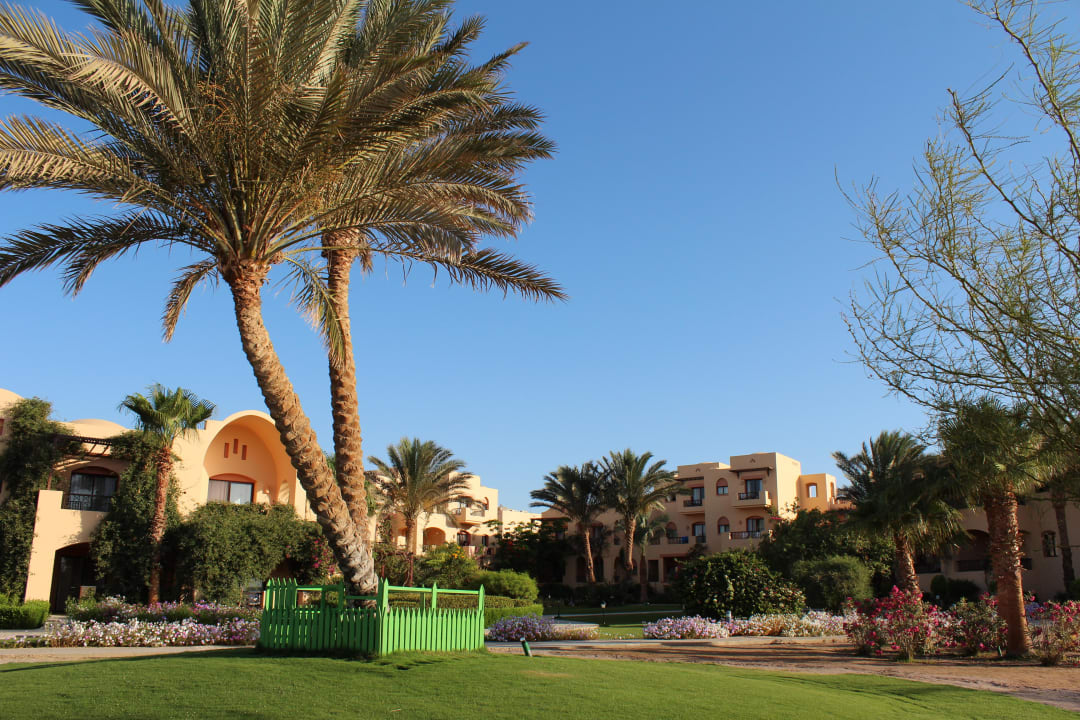 Der Garten Steigenberger Coraya Beach - Adults only