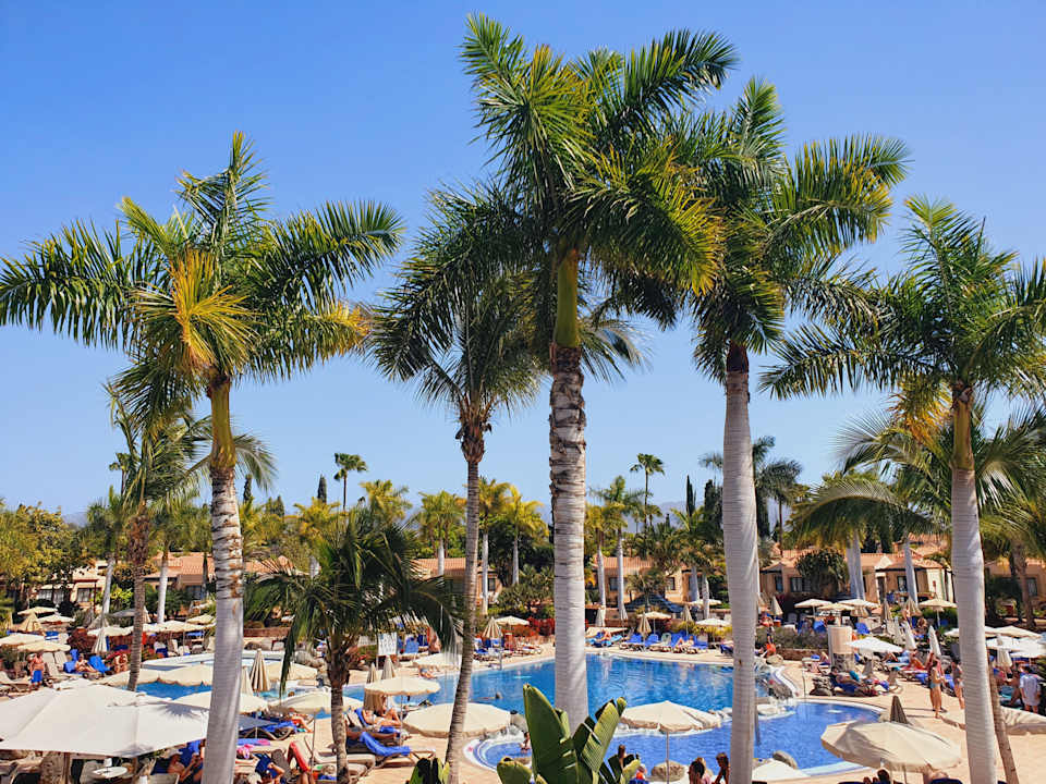 Pool allsun Hotel Esplendido