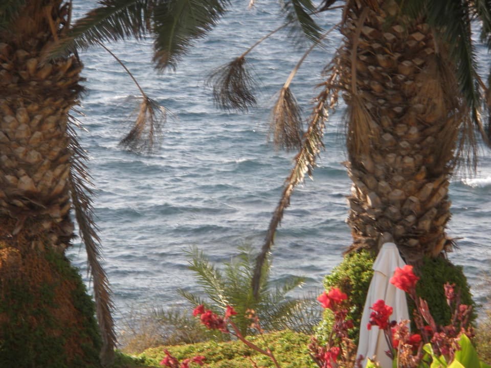 Terrasse aufs Meer Queen's Bay Hotel