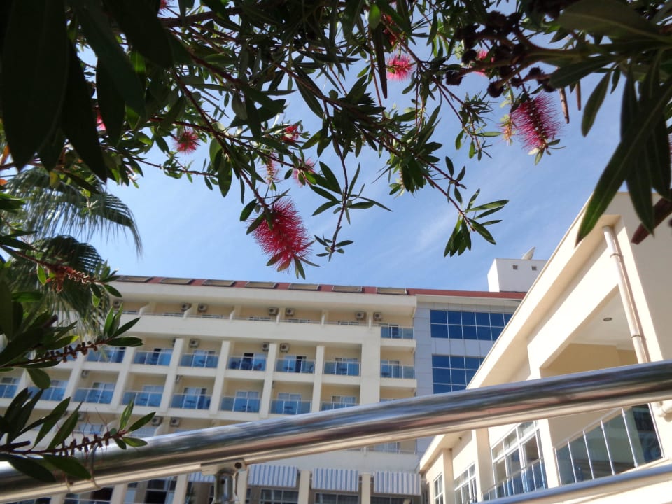 Schön Solivia Hotel