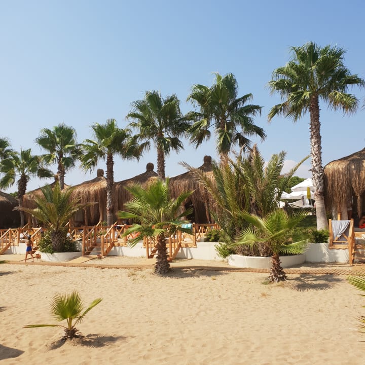 Ausblick Paloma Oceana