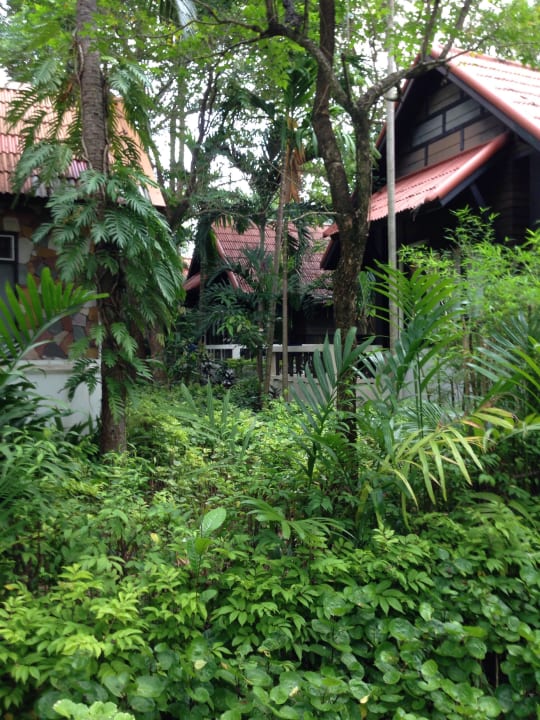 Anlage und Zimmer NH Collection Samui Peace Resort