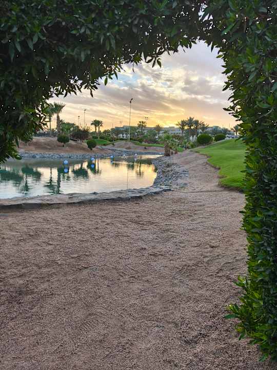 Ausblick Steigenberger Aqua Magic