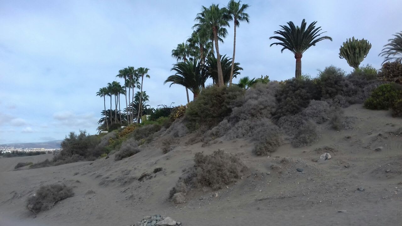 Strand Abora Buenaventura by Lopesan Hotels