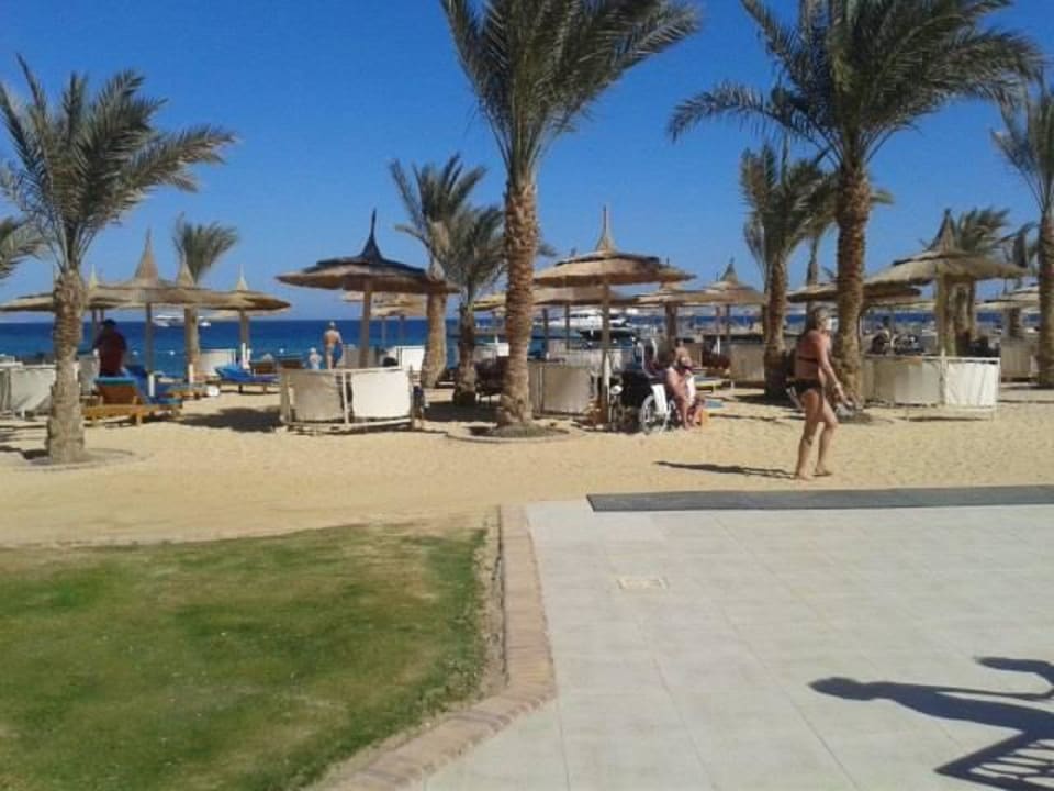 Feb. 2016 Beach Albatros Resort