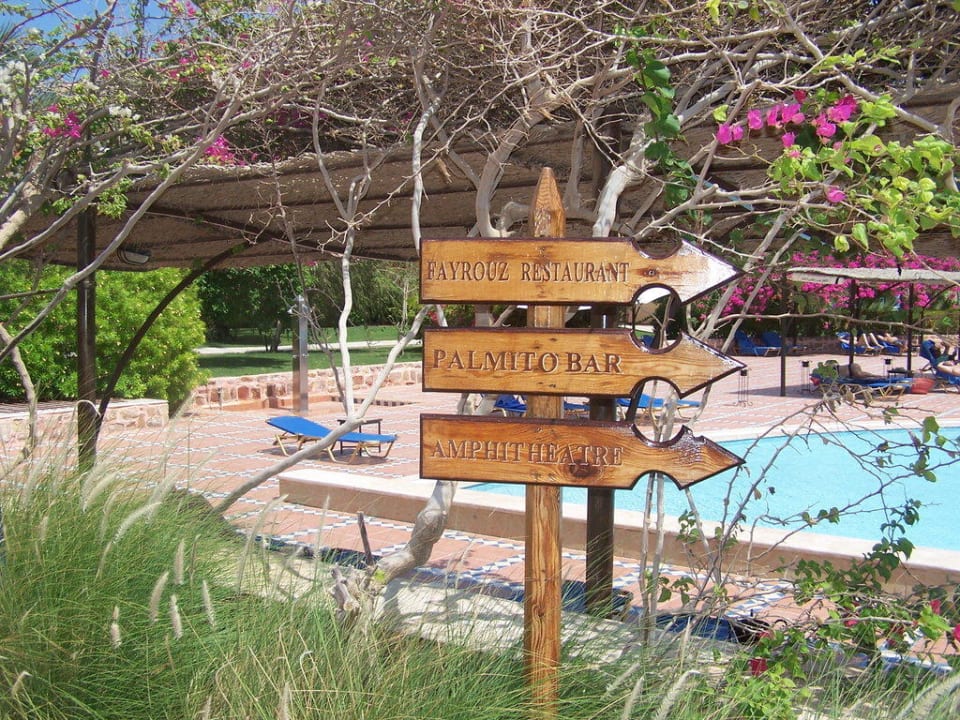 Wegweiser Steigenberger Coraya Beach - Adults only