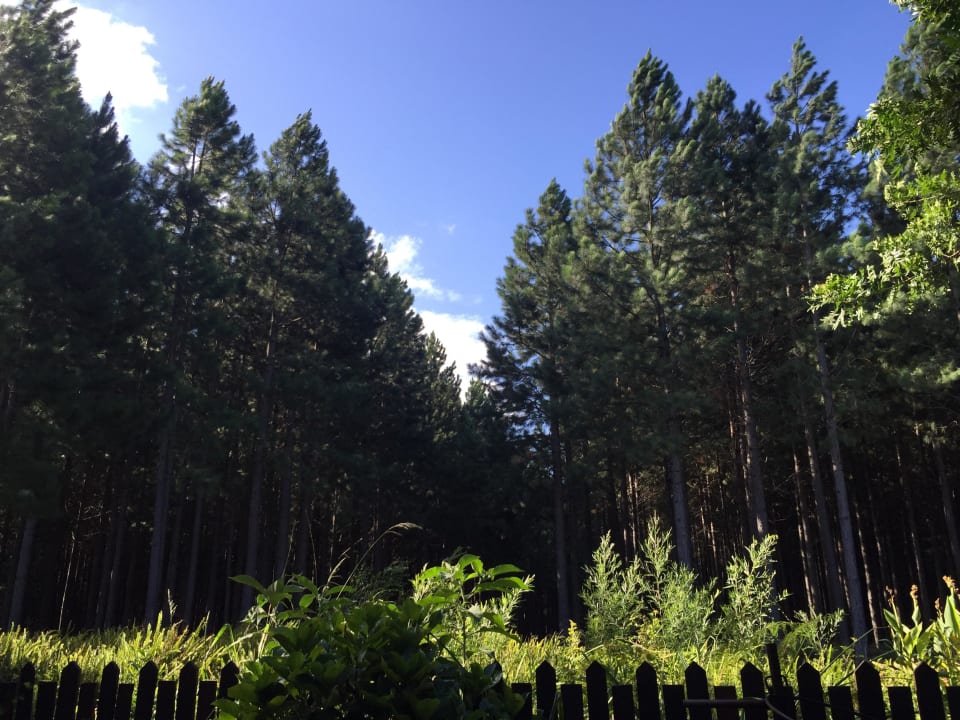 Aussicht der Terrasse vom Bungalow Hotel Tsitsikamma Lodge