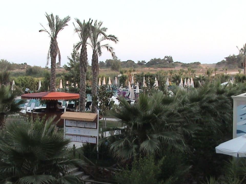 Gartenanlage Hane Family Resort