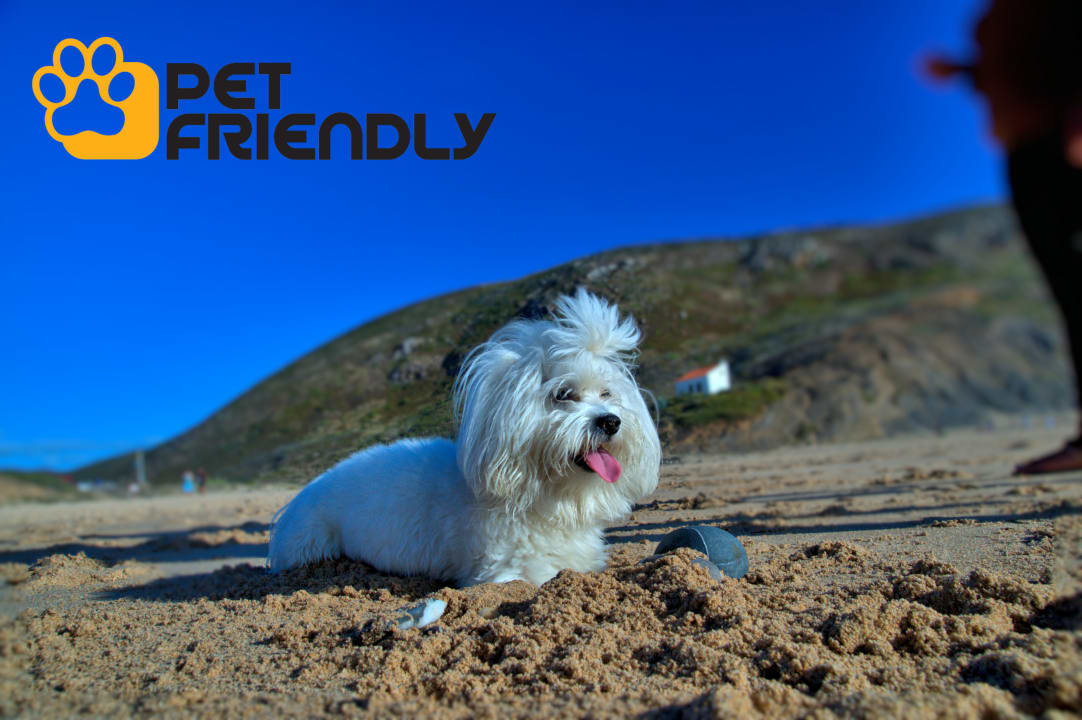 Sonstiges Apartamentos Tonel