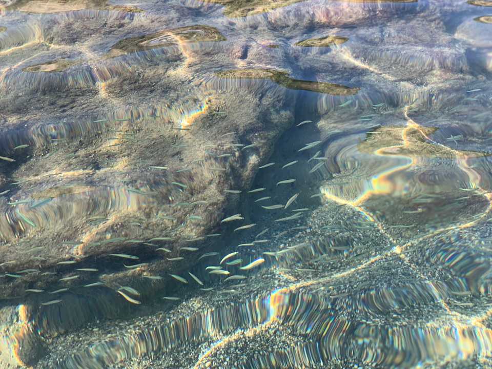 Strand Hotel Kalithea Horizon Royal