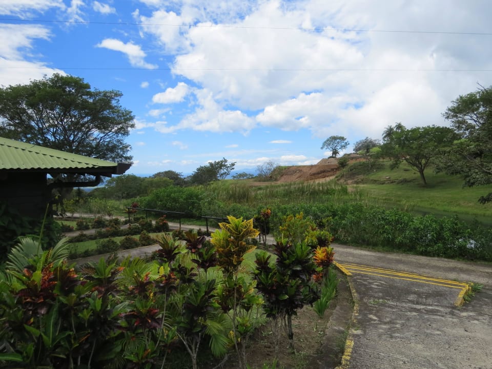 Gartenanlage bei den Bungalows Hotel Buena Vista Lodge