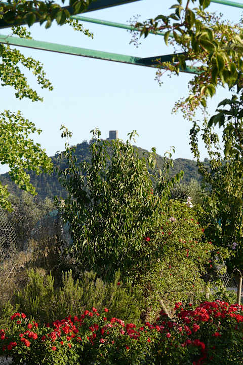 Gartenanlage Hotel Campastrello