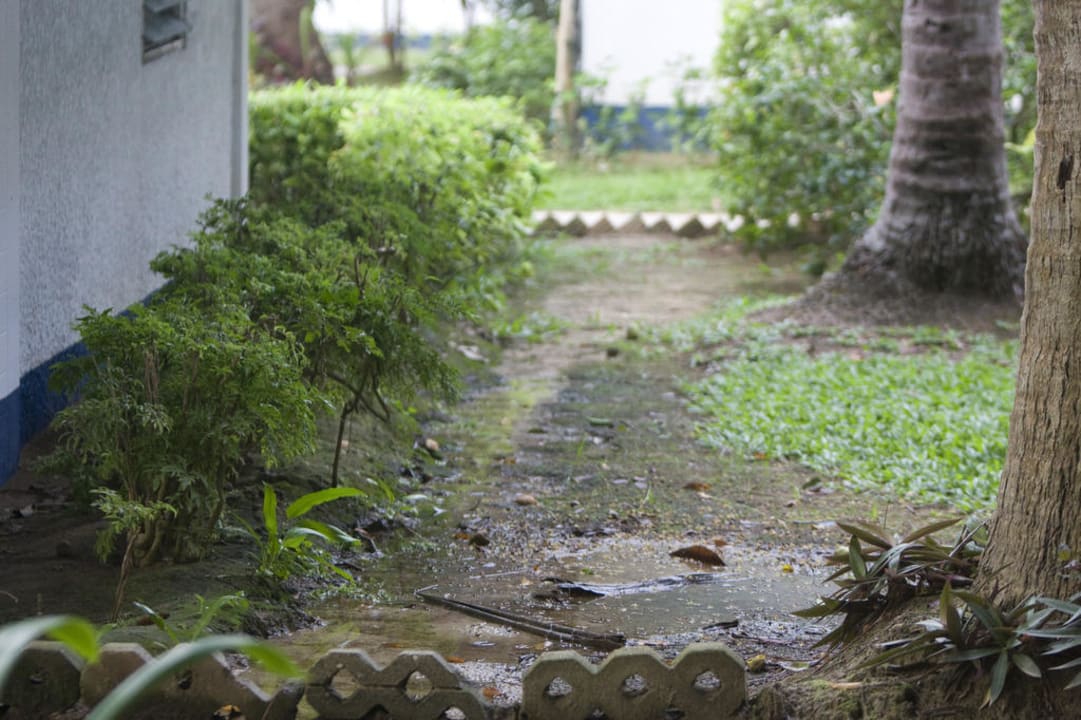 Gepflegte Gartenanlage Hotel Coral Island Resort