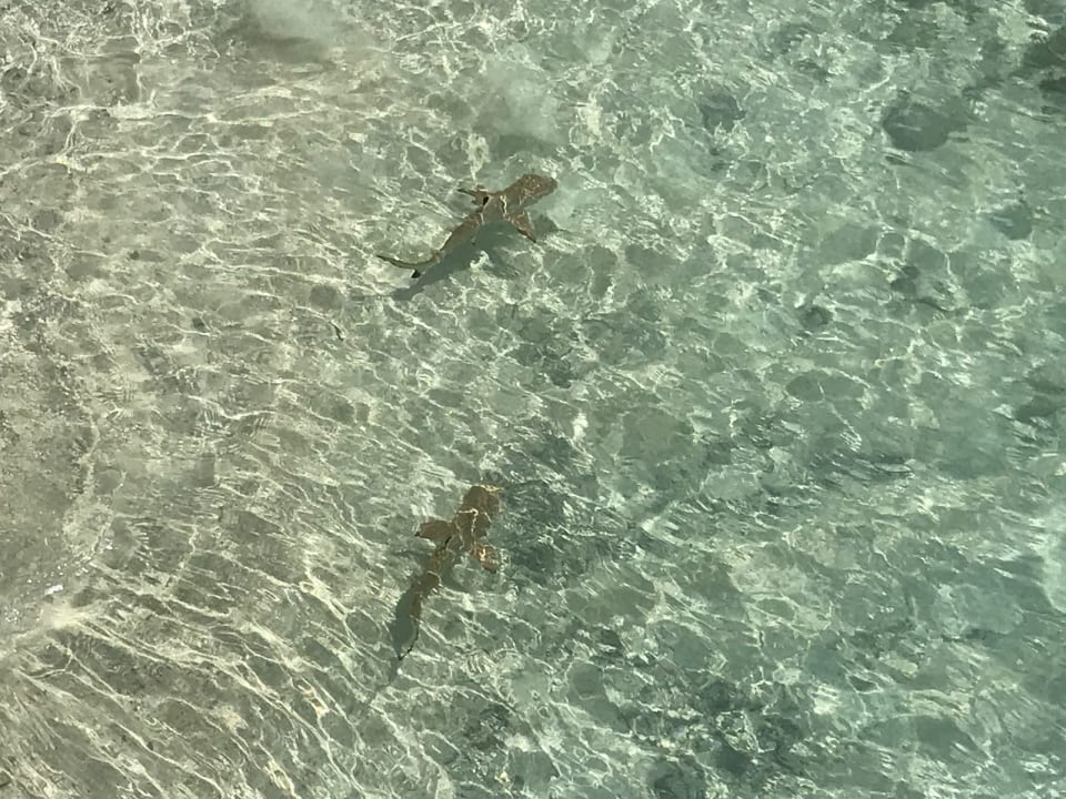 Strand Centara Ras Fushi Resort & Spa Maldives