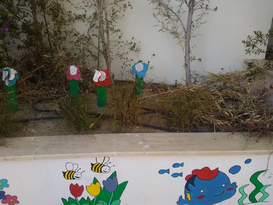 Sport & Freizeit Well Palace Side