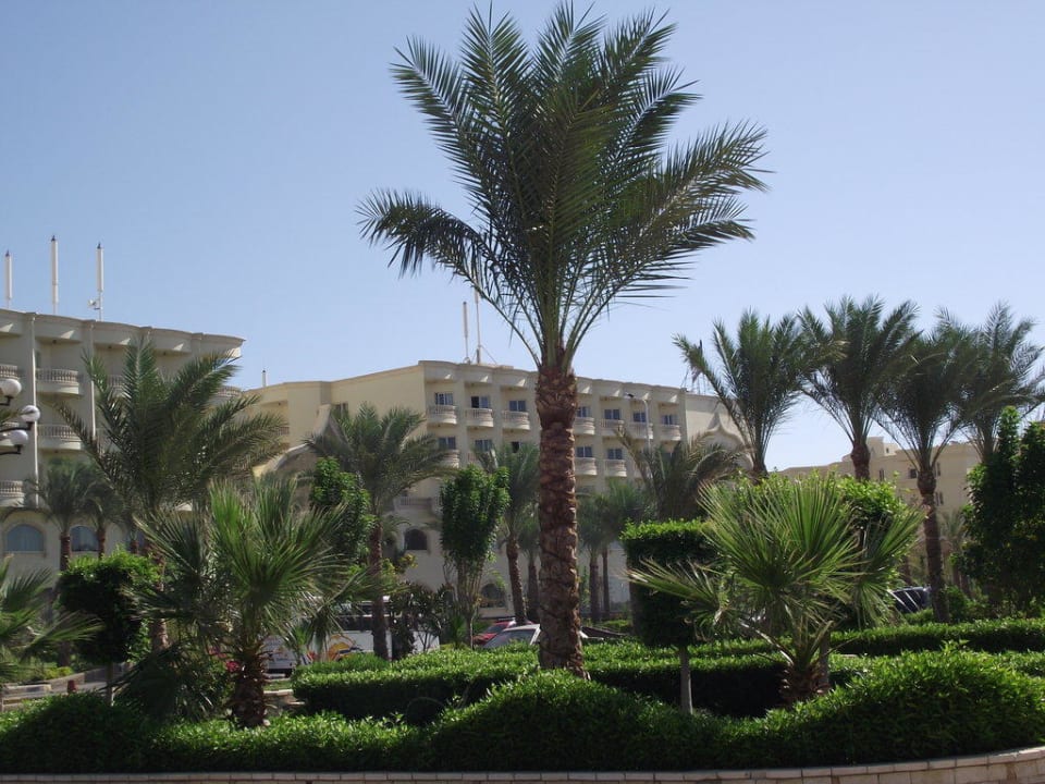 Сад Riviera Aqua Park Resort