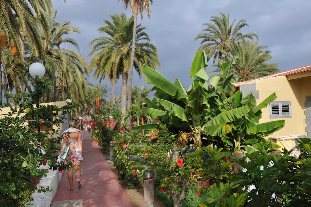 Sehr viel Grün in der Anlage, HL Miraflor Suites Hotel