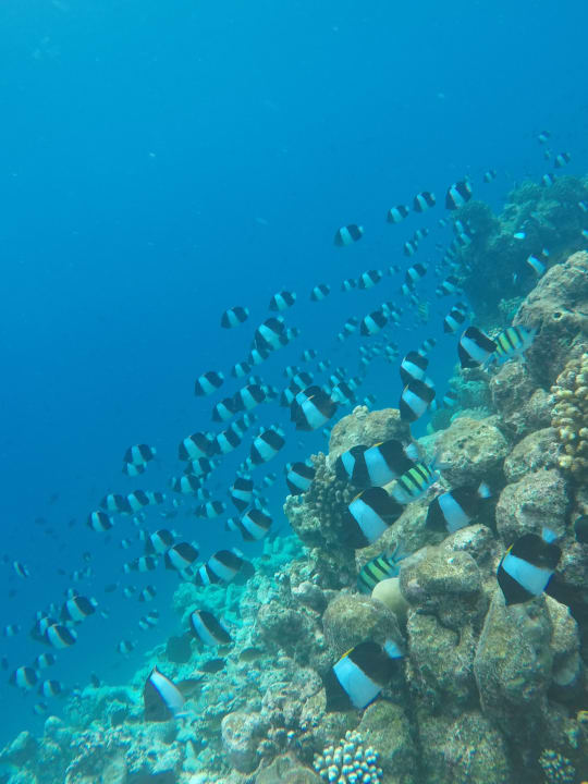 Sport & Freizeit Kuramathi Maldives