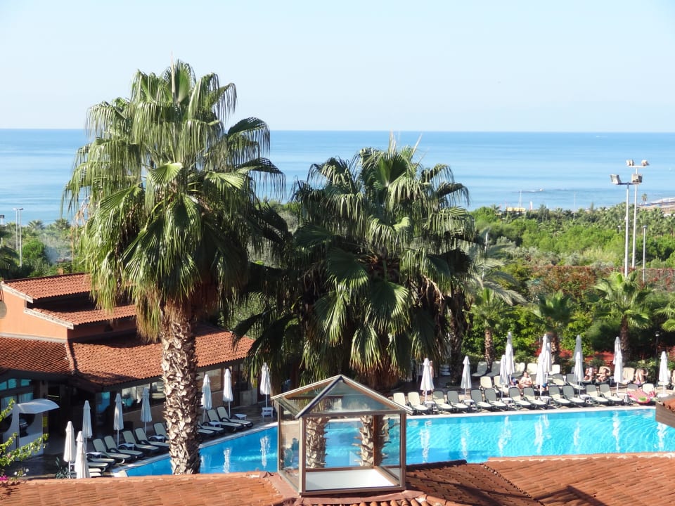 Ausblick aus Zimmer Alba Resort Hotel