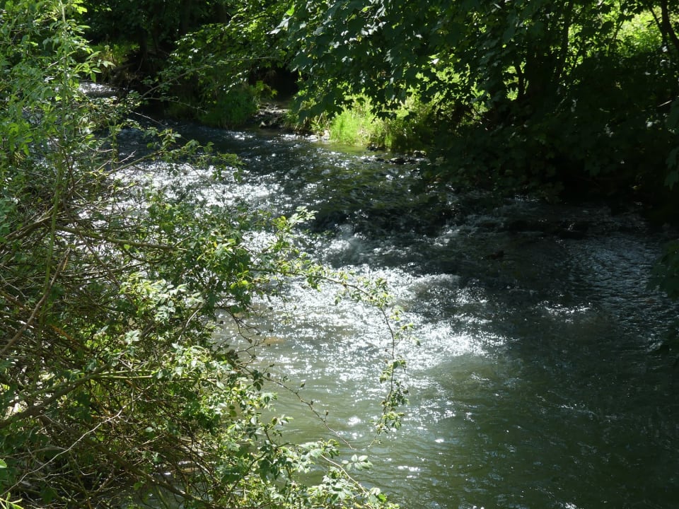 Ausblick Camping Schwabenmühle