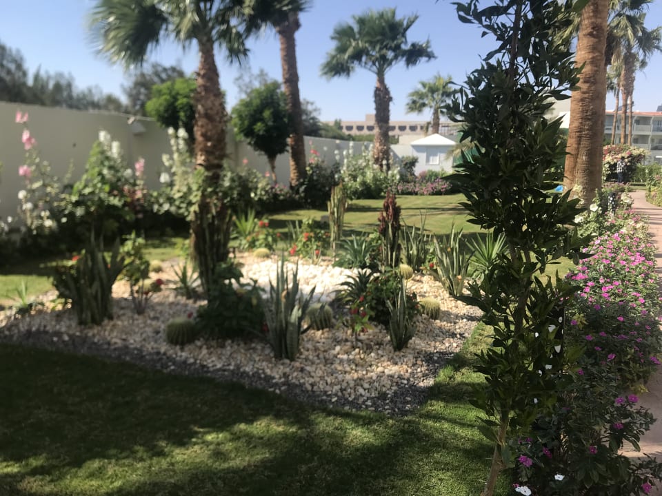Gartenanlage Amarina Abu Soma Resort & Aquapark