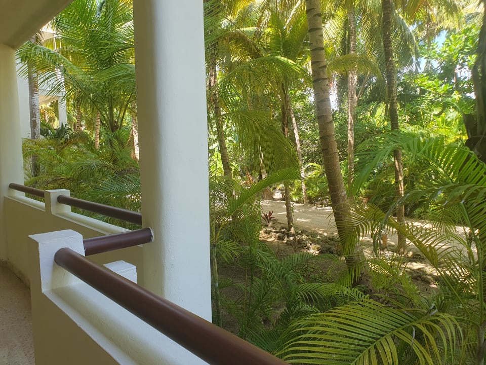 Gartenanlage Akumal Bay Beach & Wellness Resort