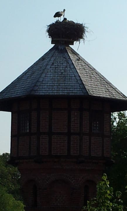 Storchennest vom Hotel Landhotel Storchenkrug