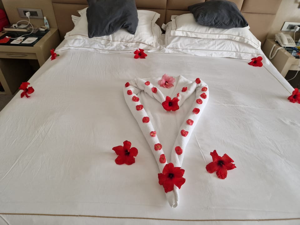 Zimmer Cleopatra Luxury Resort Makadi Bay