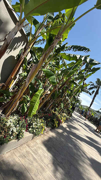 Gartenanlage Adalya Elite Lara