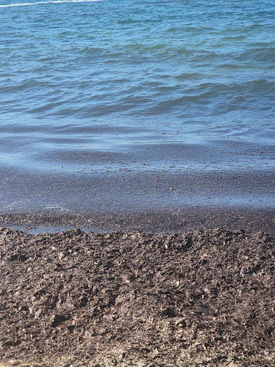 Strand Calimera Sirens Beach
