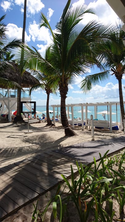 Am Strand Catalonia Royal La Romana - Adults only