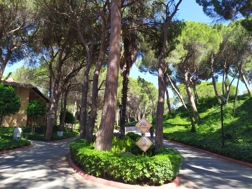 Gartenanlage Asteria Family Belek