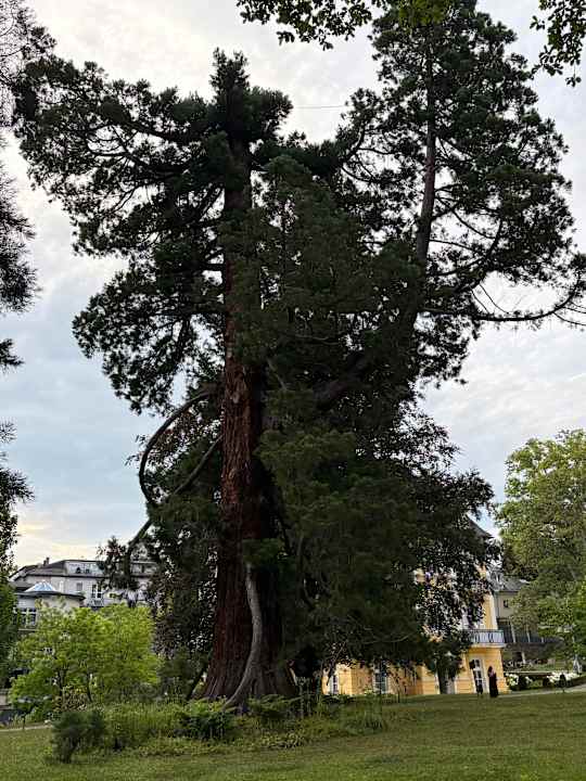Gartenanlage Wellnesshotel Allmer