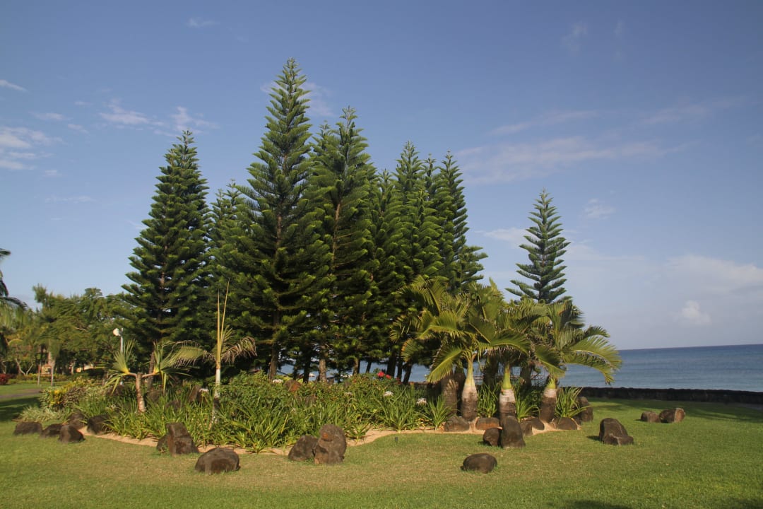 Zahrada před naším pokojem Le Meridien Ile Maurice