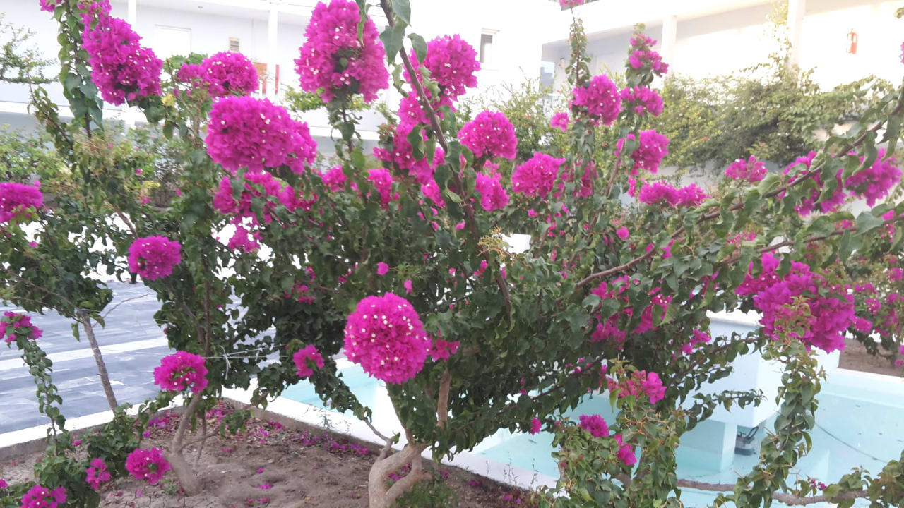 Hotel Innen Kouros Seasight Hotel