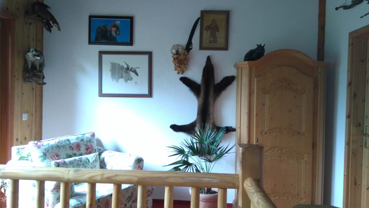 Treppenhaus Naturtraum Georgshöhe