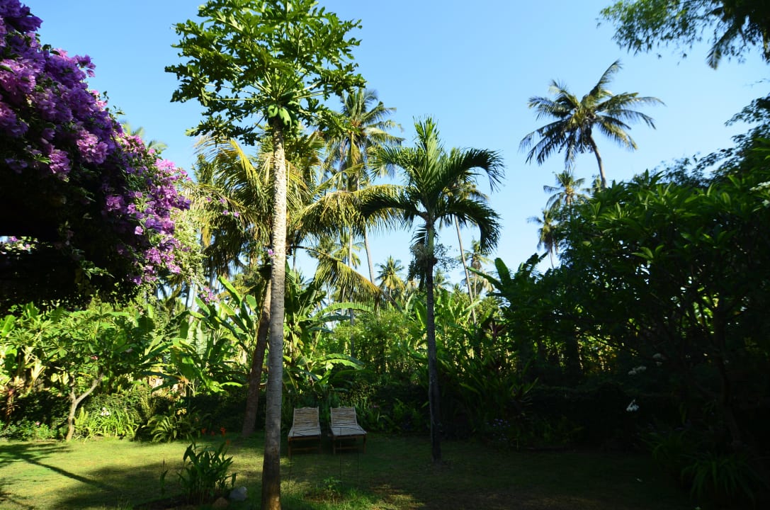 Ausblick Saraswati Holiday House